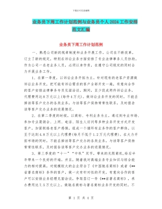 业务员下周工作计划范例与业务员个人2024工作安排范文汇编