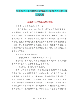 业务员个人工作总结范文精选与业务员个人年终工作总结汇编