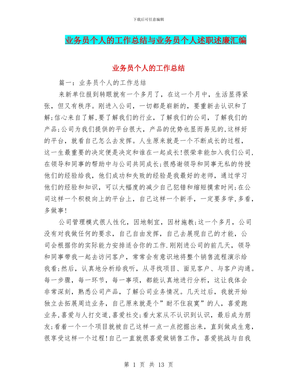 业务员个人的工作总结与业务员个人述职述廉汇编_第1页