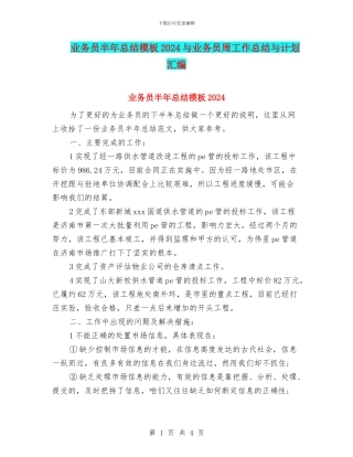 业务员半年总结模板2024与业务员周工作总结与计划汇编