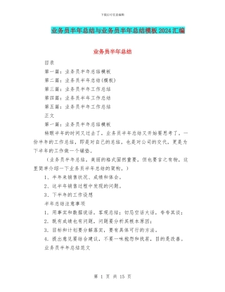 业务员半年总结与业务员半年总结模板2024汇编