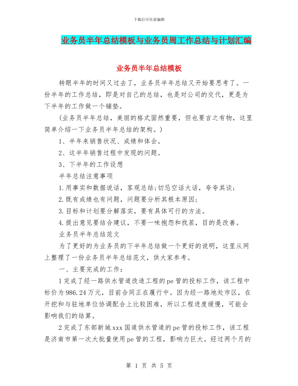业务员半年总结模板与业务员周工作总结与计划汇编_第1页