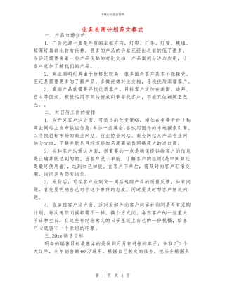 业务员周计划范文格式