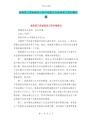 业务员工作总结及工作计划范文与业务员工作打算汇编