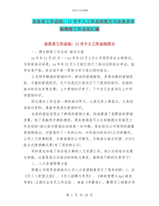 业务员工作总结：11月个人工作总结范文与业务员市场销售工作总结汇编