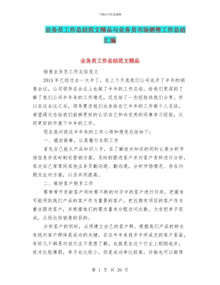 业务员工作总结范文精品与业务员市场销售工作总结汇编