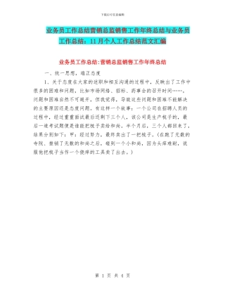 业务员工作总结营销总监销售工作年终总结与业务员工作总结：11月个人工作总结范文汇编