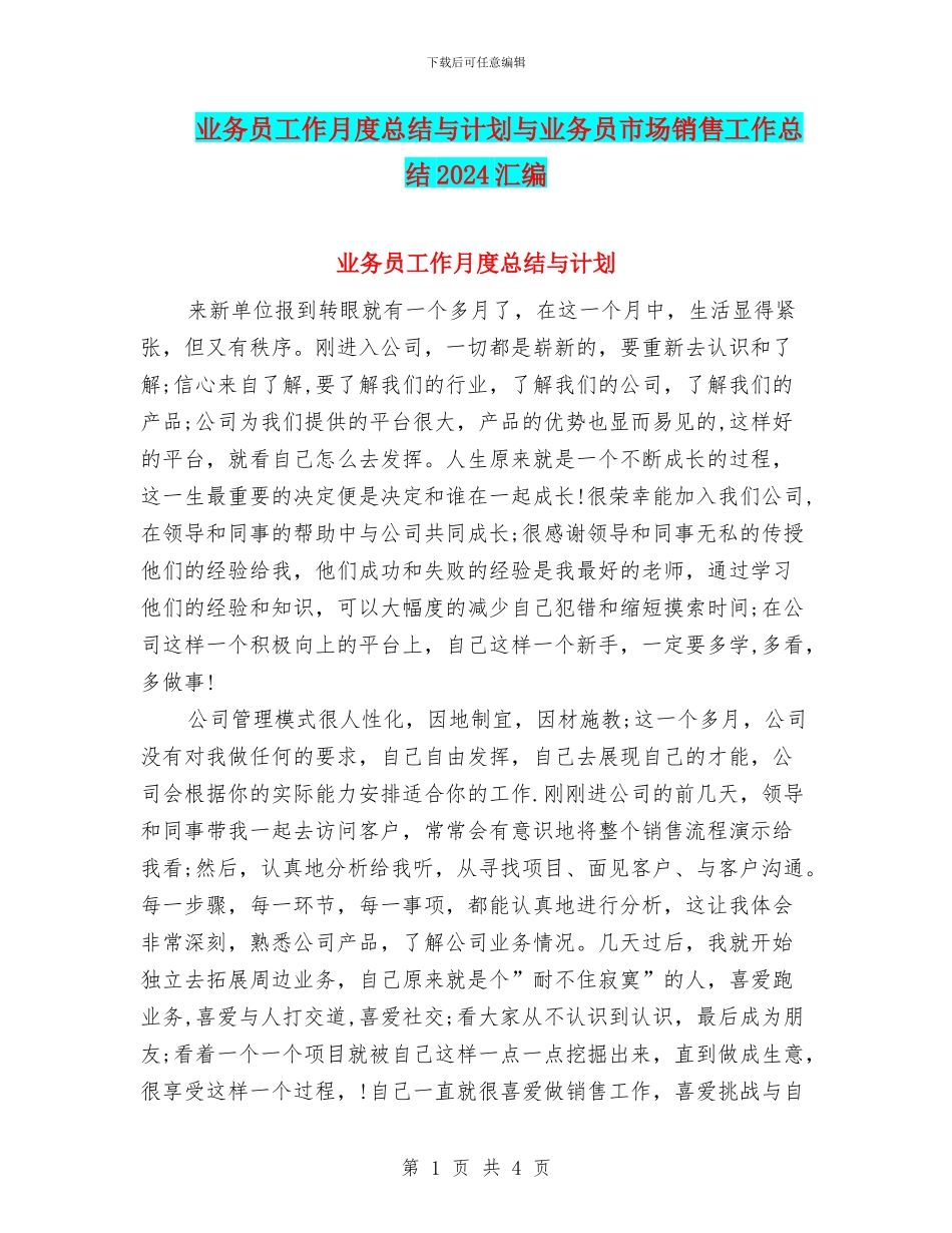 业务员工作月度总结与计划与业务员市场销售工作总结2024汇编_第1页
