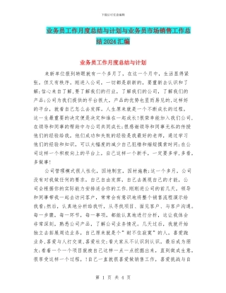 业务员工作月度总结与计划与业务员市场销售工作总结2024汇编