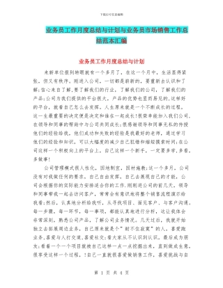 业务员工作月度总结与计划与业务员市场销售工作总结范本汇编