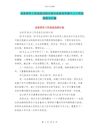 业务员年工作总结及的计划与业务员年度个人工作总结范文汇编