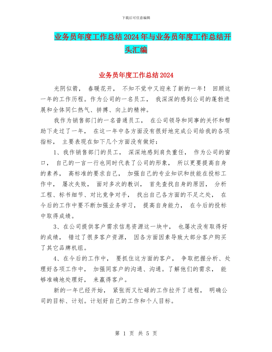 业务员年度工作总结2024年与业务员年度工作总结开头汇编_第1页
