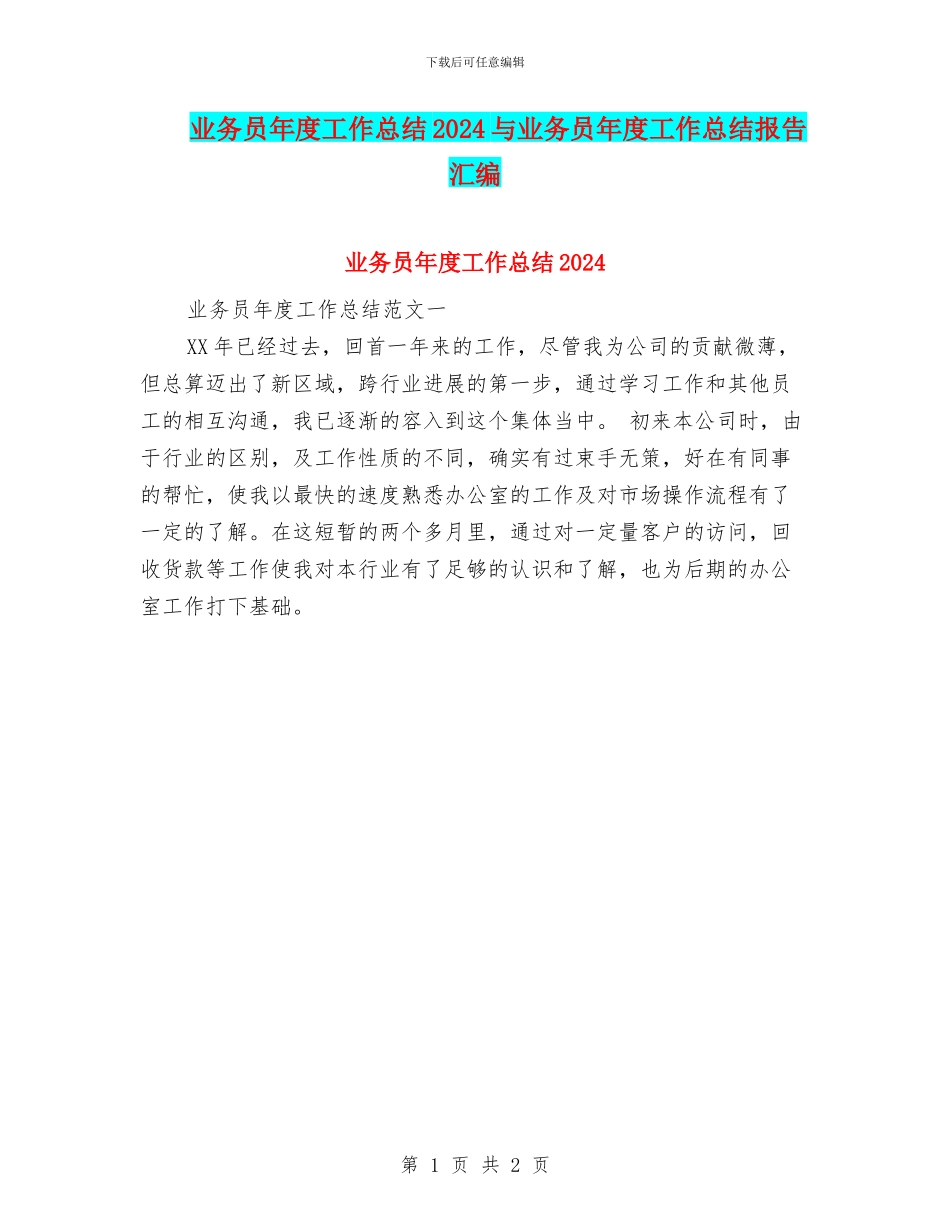 业务员年度工作总结2024与业务员年度工作总结报告汇编_第1页