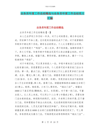 业务员年度工作总结精选与业务员年度工作总结范文汇编