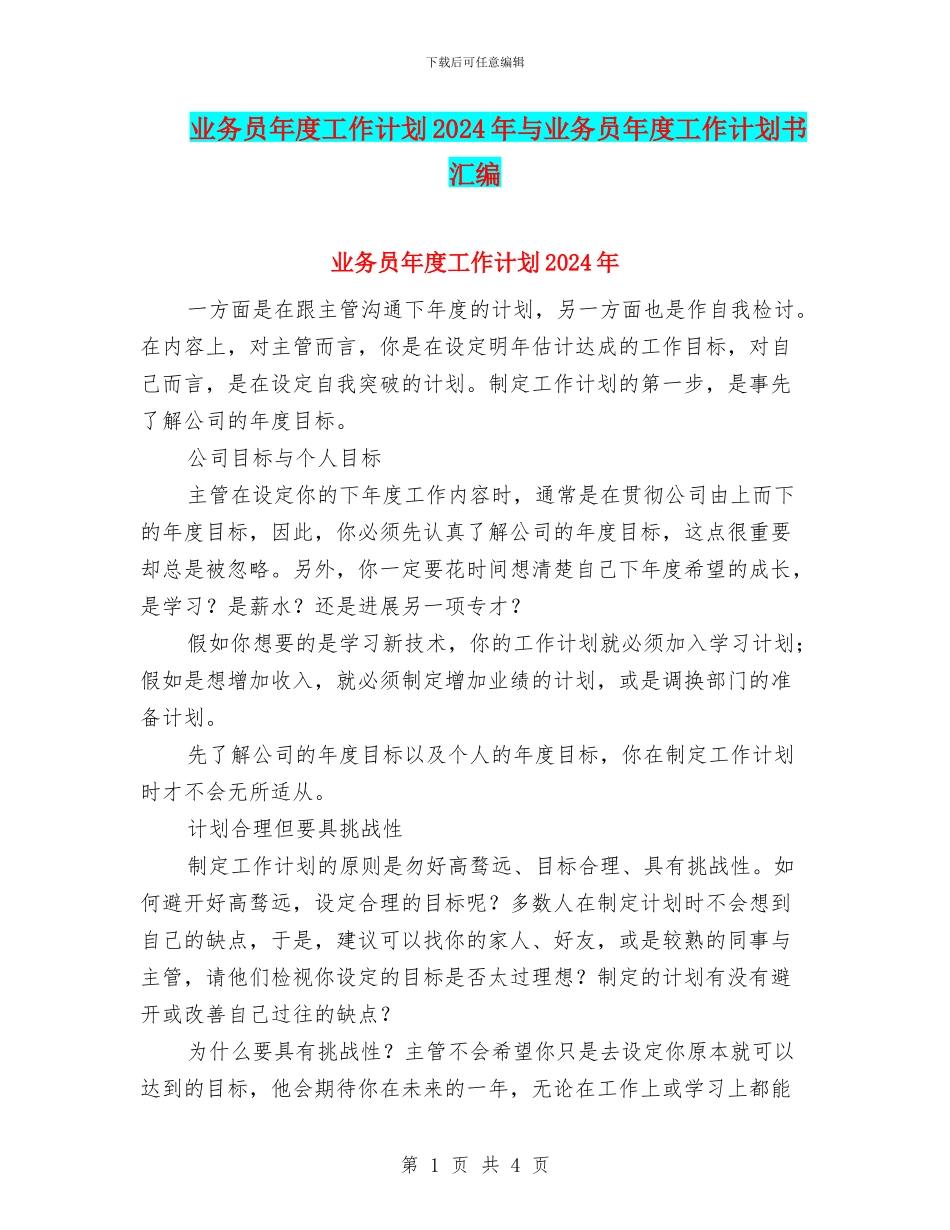 业务员年度工作计划2024年与业务员年度工作计划书汇编_第1页