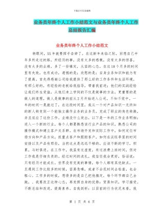 业务员年终个人工作小结范文与业务员年终个人工作总结报告汇编