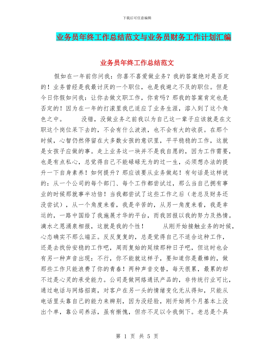 业务员年终工作总结范文与业务员财务工作计划汇编_第1页