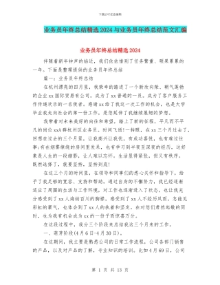 业务员年终总结精选2024与业务员年终总结范文汇编