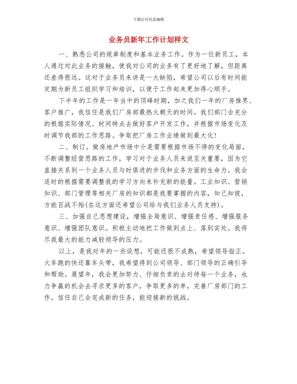 业务员新年工作计划与业务员新年工作计划样文汇编_第3页