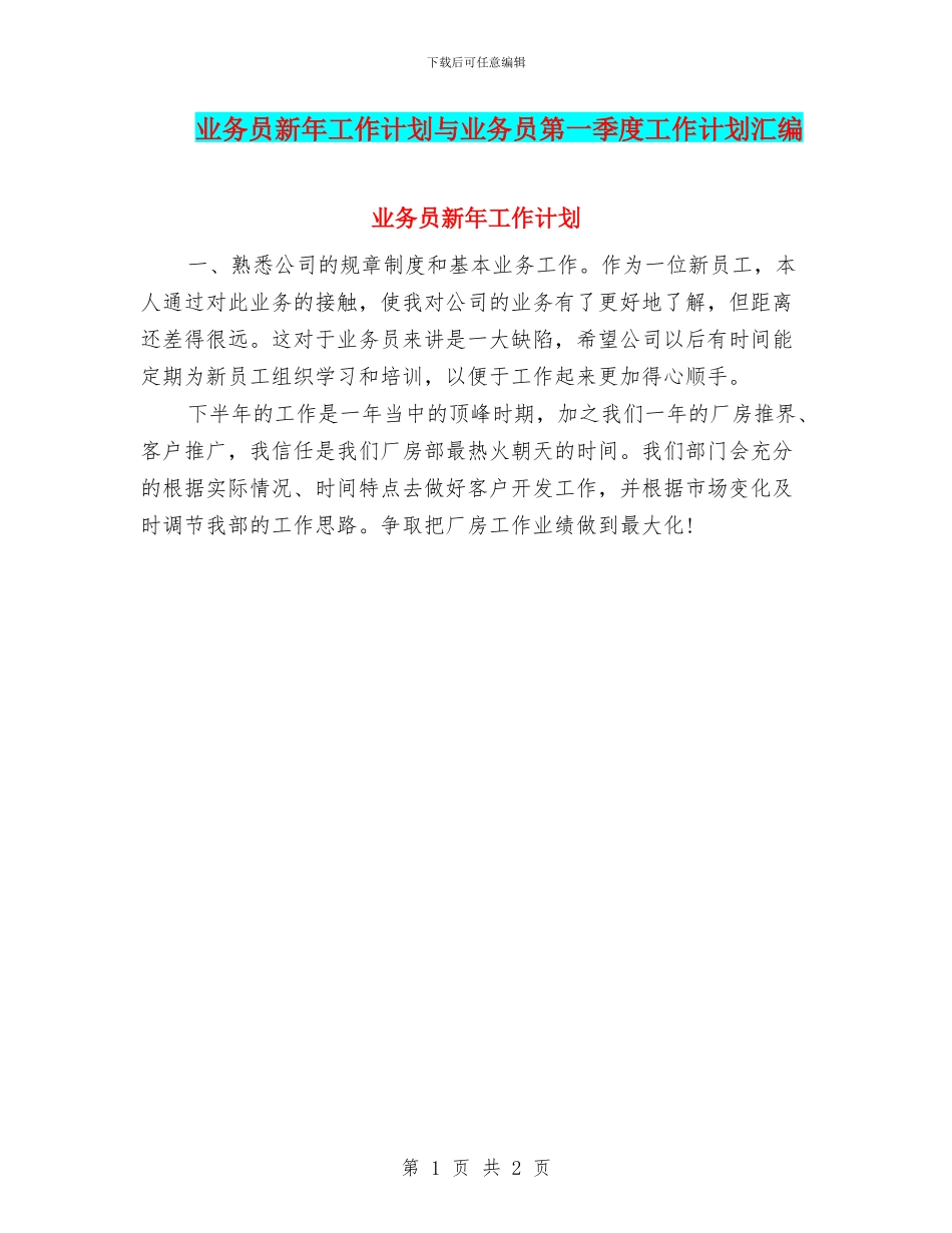 业务员新年工作计划与业务员第一季度工作计划汇编_第1页