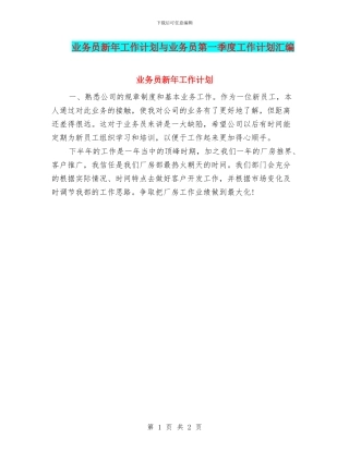 业务员新年工作计划与业务员第一季度工作计划汇编