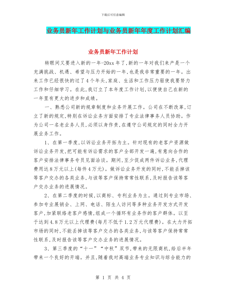 业务员新年工作计划与业务员新年年度工作计划汇编_第1页