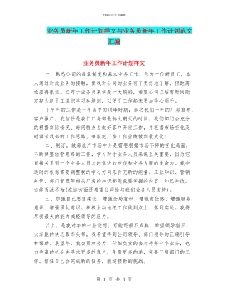 业务员新年工作计划样文与业务员新年工作计划范文汇编