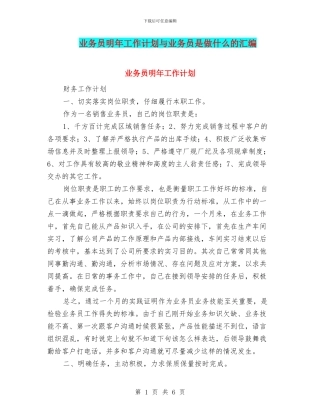 业务员明年工作计划与业务员是做什么的汇编