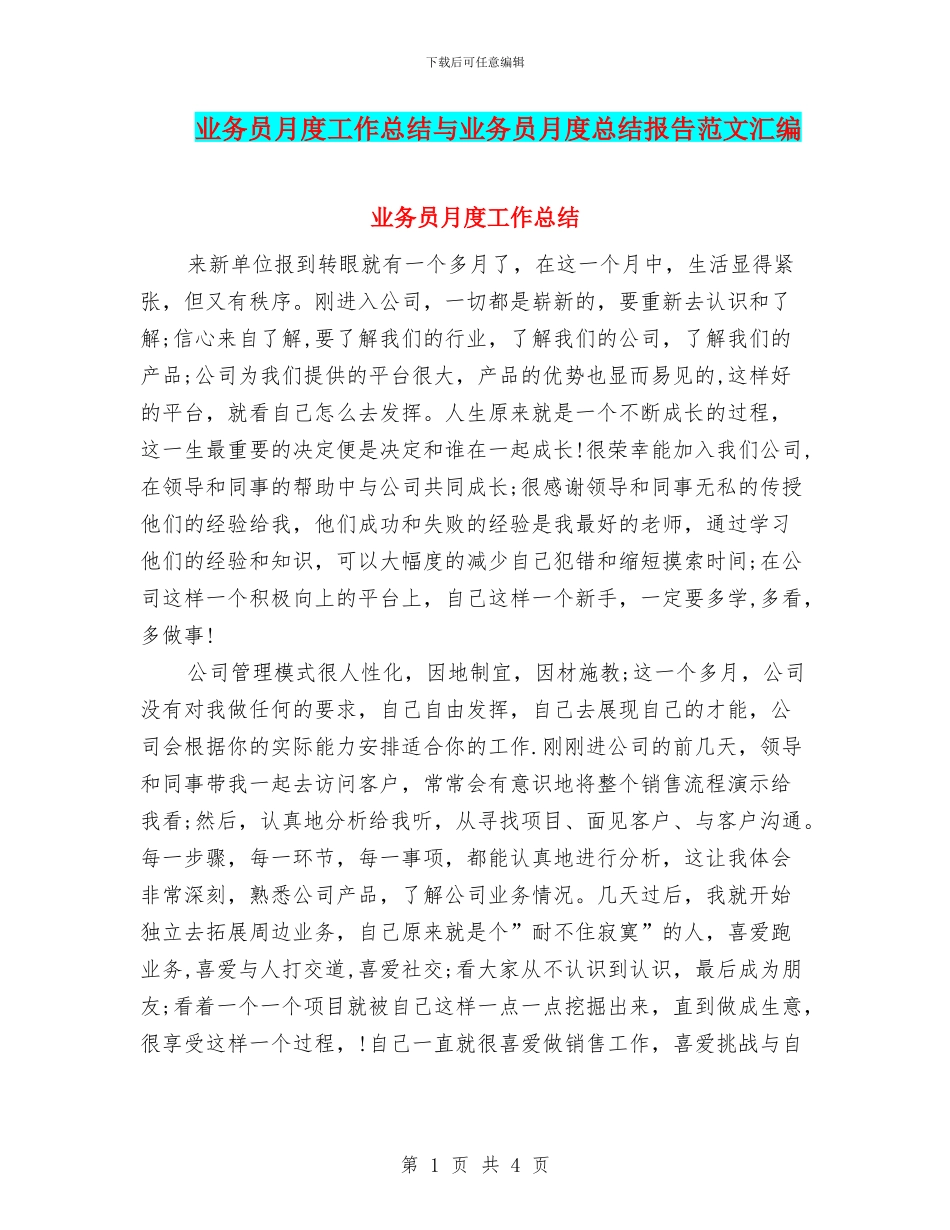 业务员月度工作总结与业务员月度总结报告范文汇编_第1页