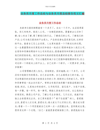 业务员月度工作总结与业务员月度总结报告范文汇编