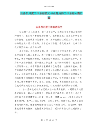 业务员月度工作总结范文与业务员的工作总结4篇汇编