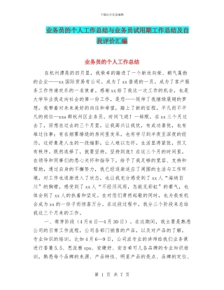 业务员的个人工作总结与业务员试用期工作总结及自我评价汇编
