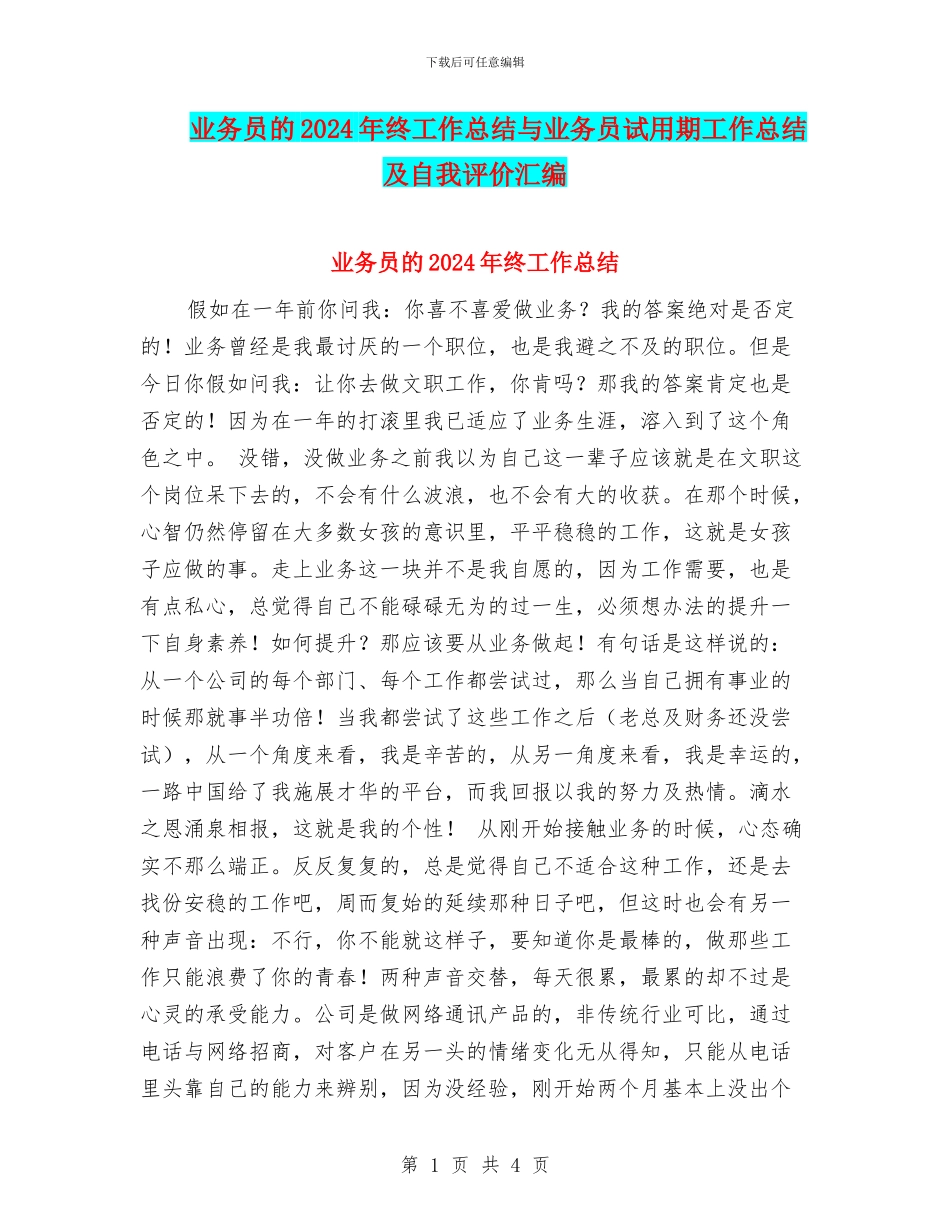 业务员的2024年终工作总结与业务员试用期工作总结及自我评价汇编_第1页