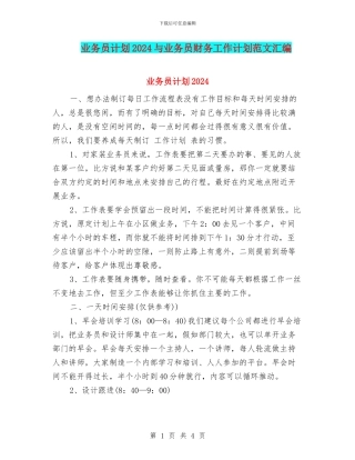 业务员计划2024与业务员财务工作计划范文汇编