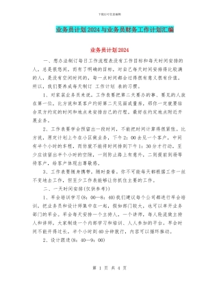 业务员计划2024与业务员财务工作计划汇编