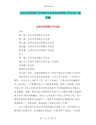 业务员试用期工作总结与业务员试用期工作总结3篇汇编