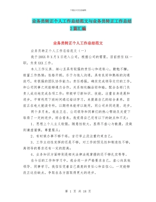 业务员转正个人工作总结范文与业务员转正工作总结2篇汇编