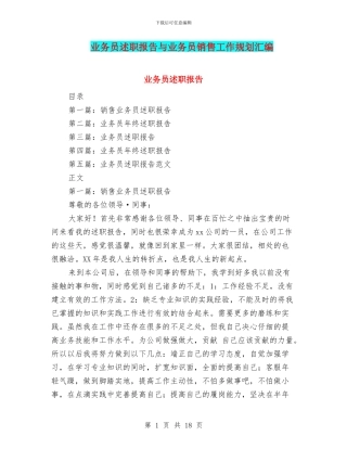 业务员述职报告与业务员销售工作规划汇编