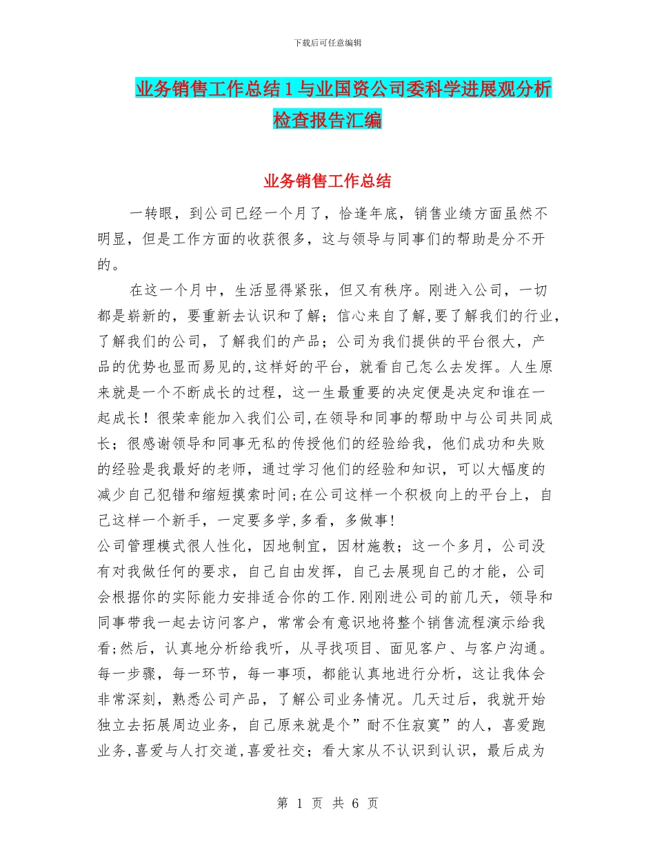 业务销售工作总结1与业国资公司委科学发展观分析检查报告汇编_第1页