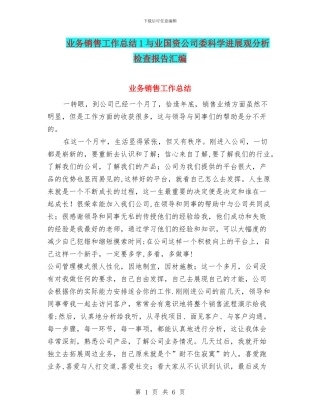 业务销售工作总结1与业国资公司委科学发展观分析检查报告汇编