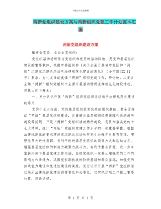 两新党组织建设方案与两新组织党建工作计划范本汇编