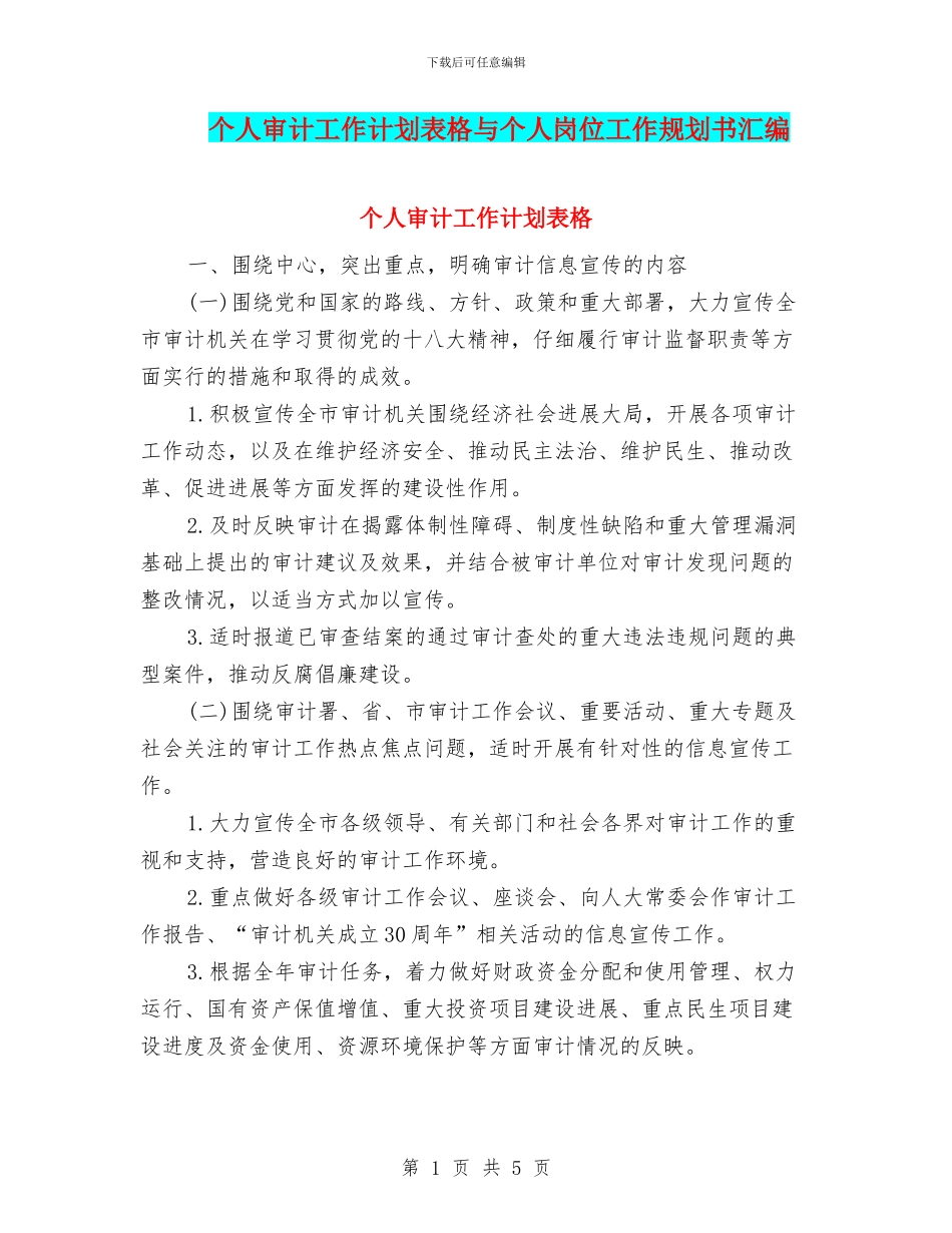 个人审计工作计划表格与个人岗位工作规划书汇编_第1页