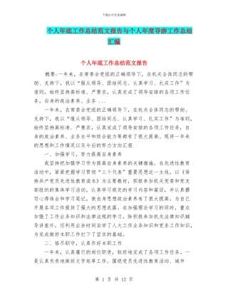 个人年底工作总结范文报告与个人年度导游工作总结汇编