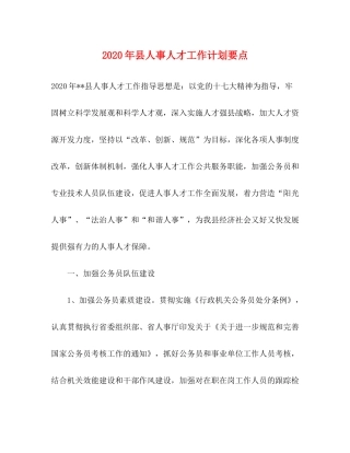 2020年县人事人才工作计划要点