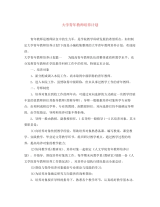 大学青年教师培养计划