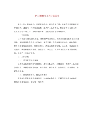 护士年工作计划范文