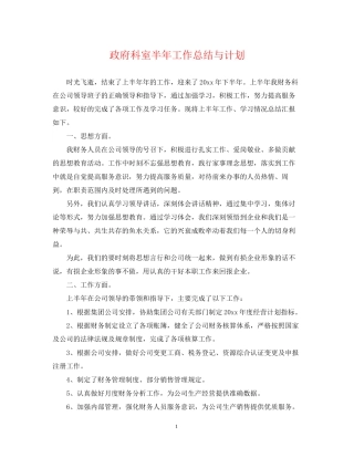 政府科室半年工作总结与计划