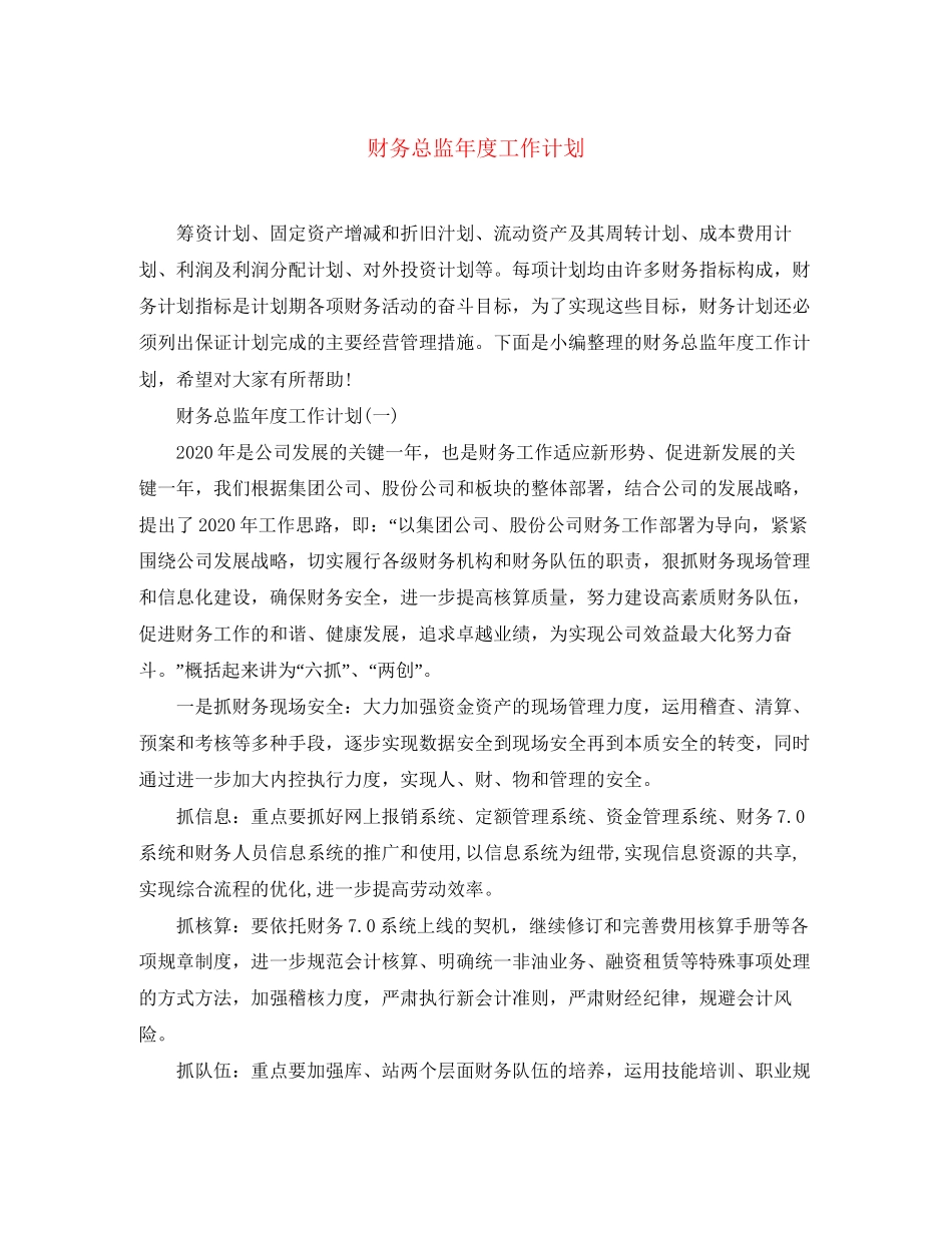 财务总监年度工作计划_第1页