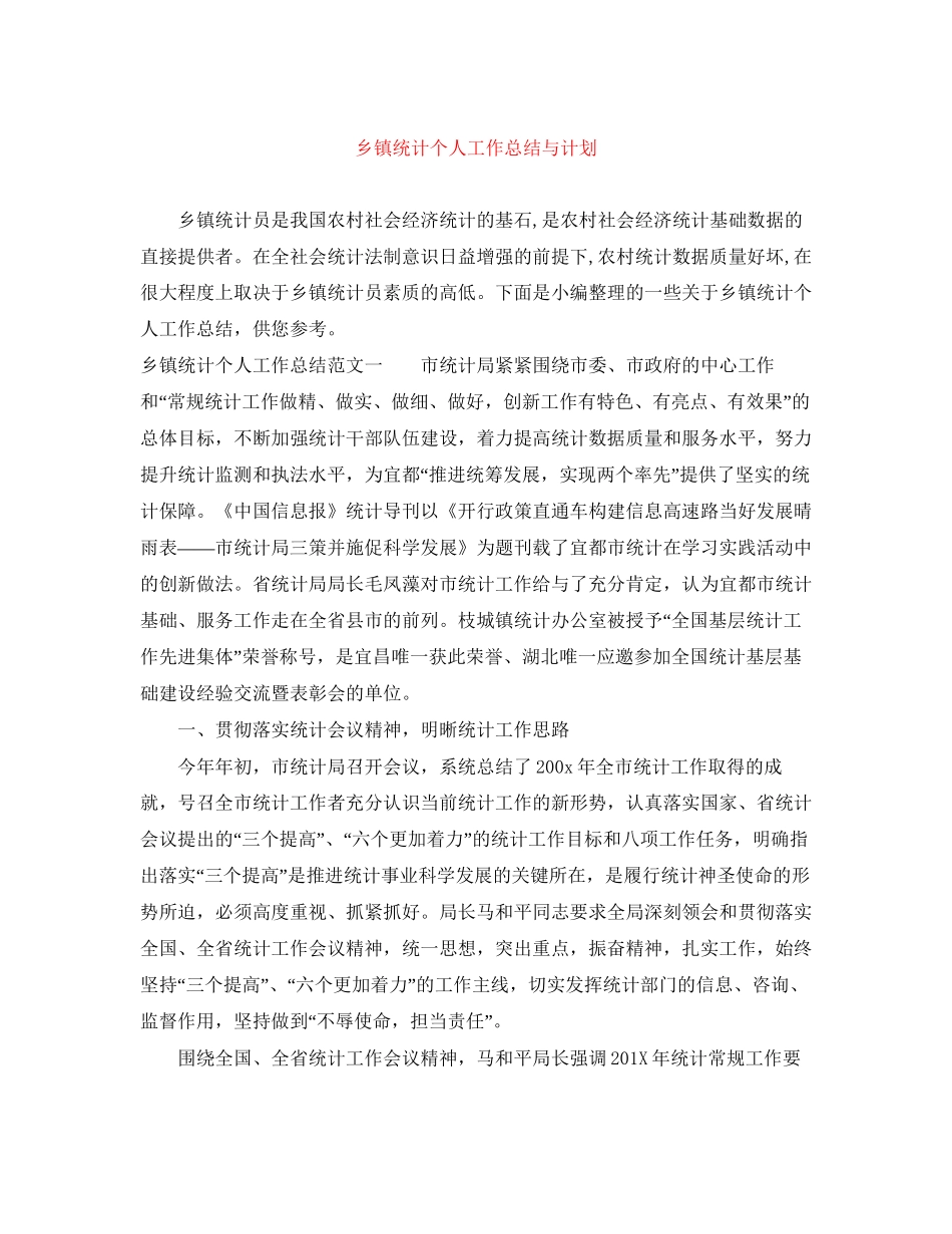 乡镇统计个人工作总结与计划_第1页