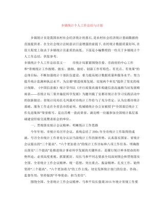 乡镇统计个人工作总结与计划